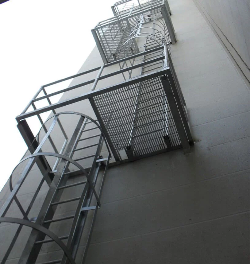 Cat ladder